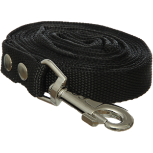 Leash PNG-72088
